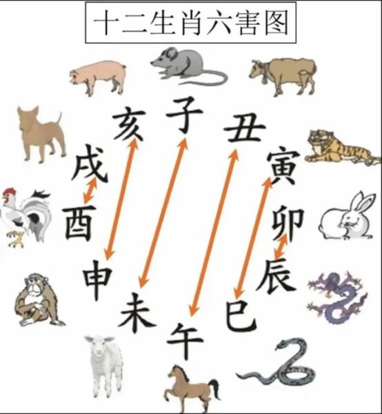 道家十二生肖属相表（道家十二生肖对应表完整版）