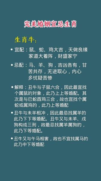 龙年结婚生肖属相（龙年结婚生肖属相避忌指南）