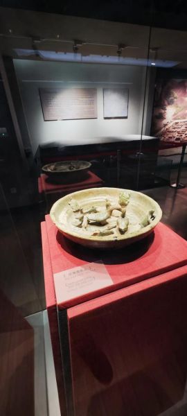 赵光属于什么生肖属相（赵光属什么生肖）