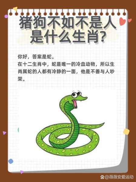 属相蛇命中缺什么生肖（蛇命缺什么生肖怎么算）