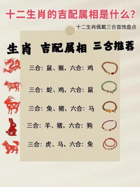 生肖龙后的属相（生肖龙后的属相对于新手来说是什么？）