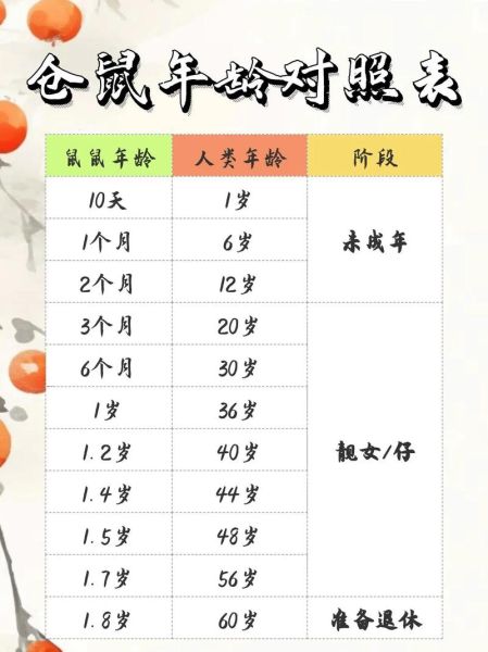 生肖属相与年龄（属鼠的今年多大对照表）