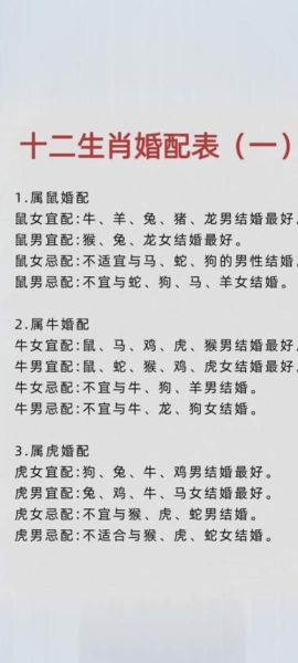 猪狗生肖属相合不合（猪狗生肖合不合？新手最全爱情速配指南）