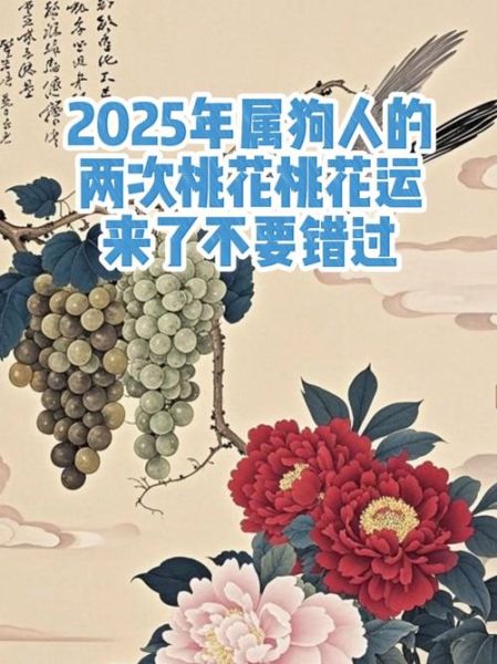 生肖狗的属相加（生肖狗的属相加什么旺桃花运）