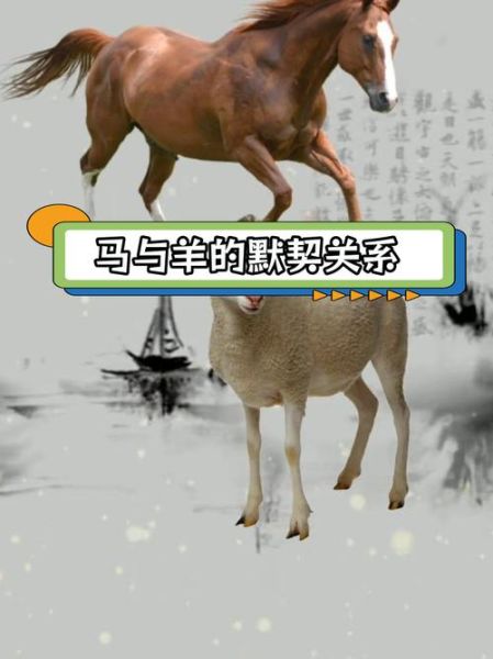 羊属相马生肖（羊属相跟马生肖合不合）