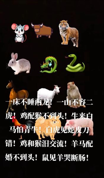 生肖属相不合的表现（生肖属相不合的表现到底有哪些）