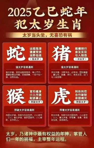 生肖属相怎么买（生肖属相怎么买？新手3步锁定号码）