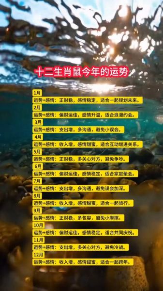 鼠年大吉生肖属相（鼠年大吉生肖鼠运势解析）