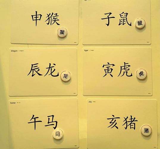 天天向上属相始终猜生肖（天天向上属相始终猜生肖怎么玩）