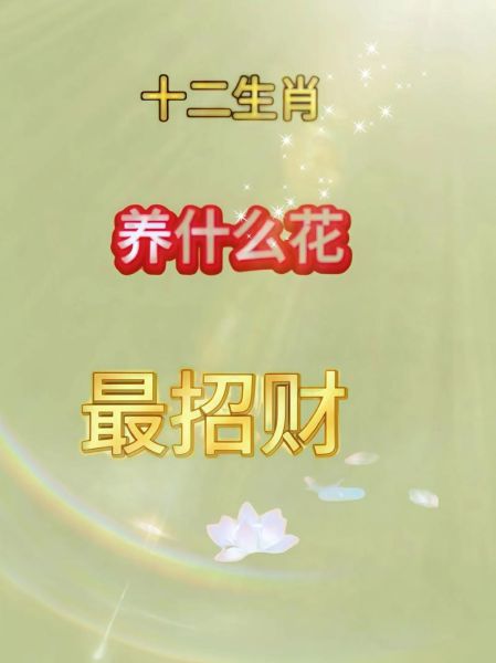 十二生肖属相盆栽（适合十二生肖的属相生旺盆栽）