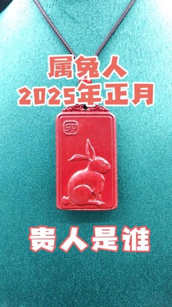 兔生肖的贵人属相（兔生肖的贵人属相是什么）