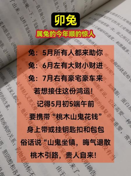 生肖兔五行属相（生肖兔的五行属相是什么？）