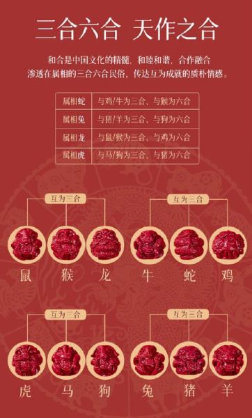 属相生肖年份（2025年属什么生肖呀？）