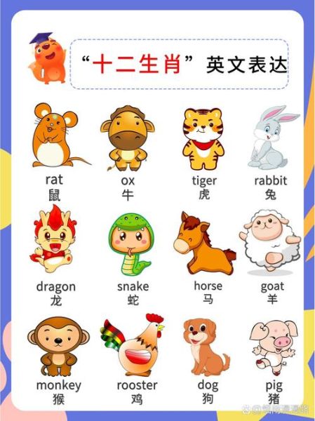 美国有没有十二生肖属相