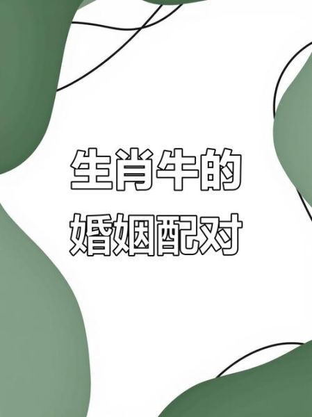 生肖牛遇到不同的属相（生肖牛和什么生肖最合婚）