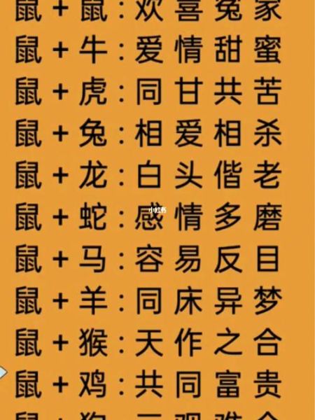 鼠生肖配偶属相（鼠生肖配偶最佳属相是谁）