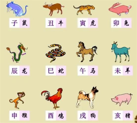零六年的生肖属相是（零六年生肖是什么）