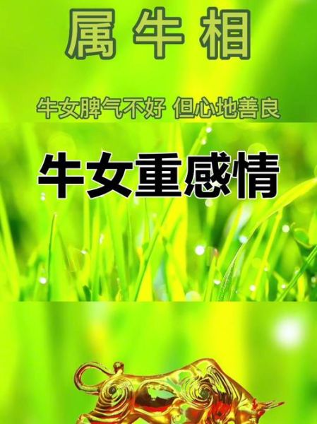 生肖牛女找什么属相（生肖牛女配什么属相比较幸福？）