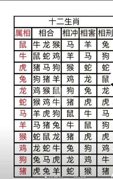 龙虎生肖大属相(龙虎生肖配对表完整版)