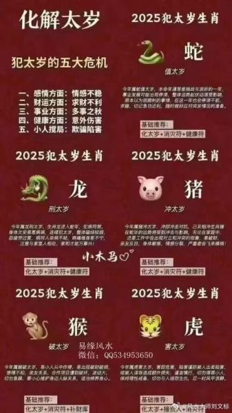 12属相生肖年（2025年属什么生肖年？新手也能秒查！）