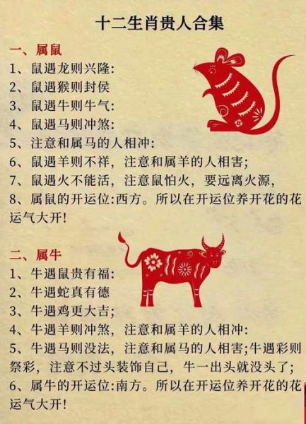 生肖属相命运代表（生肖属相命运代表含义）