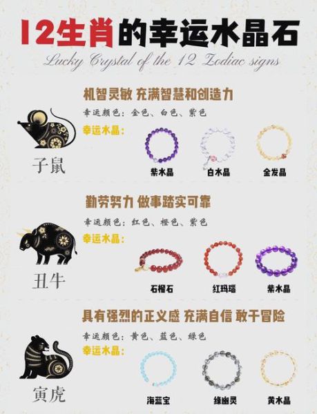 生肖属相猜谜语(生肖属相猜谜语大全🔮轻松入门🎉)