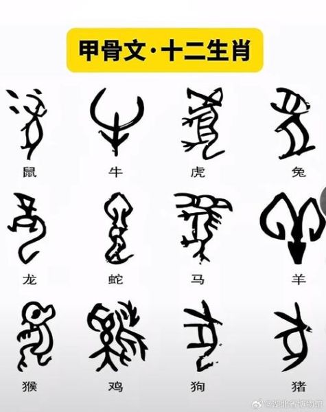 甲代表生肖什么属相呢