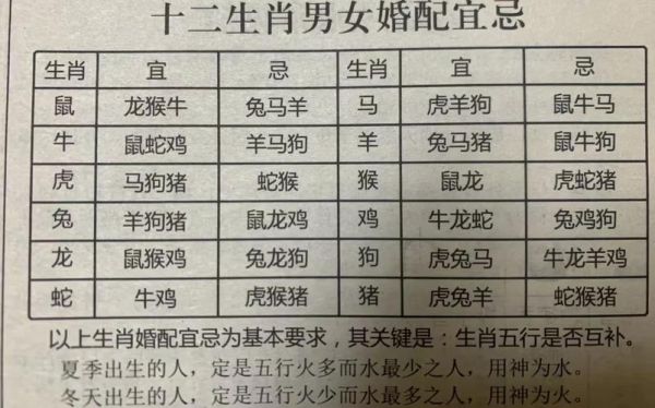 野丫头属相是什么生肖（野丫头属相是什么生肖？答案全解）