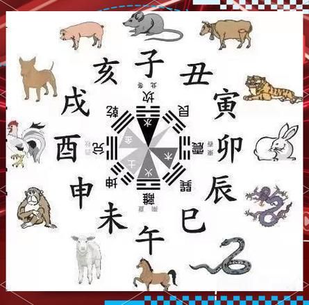 生肖属相八卦(2024龙年属相八卦大揭秘)