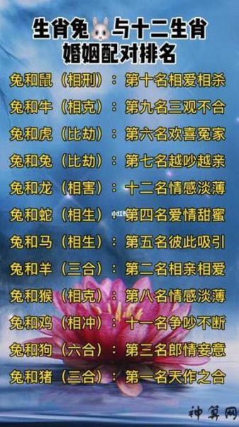 生肖兔复合的属相(生肖兔最适合复合的属相是谁?)