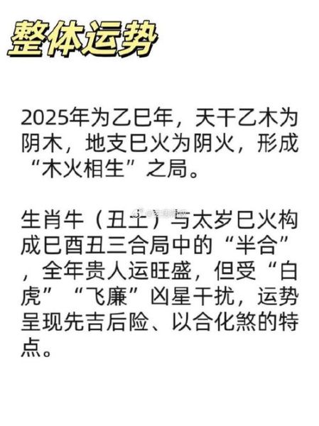 属相牛戴不了什么生肖(属牛不能带什么生肖?新手避坑指南)