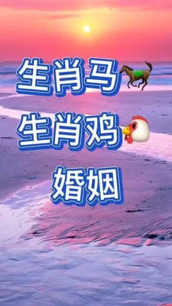 生肖鸡与属相搭配(生肖鸡最佳婚配属相详解)