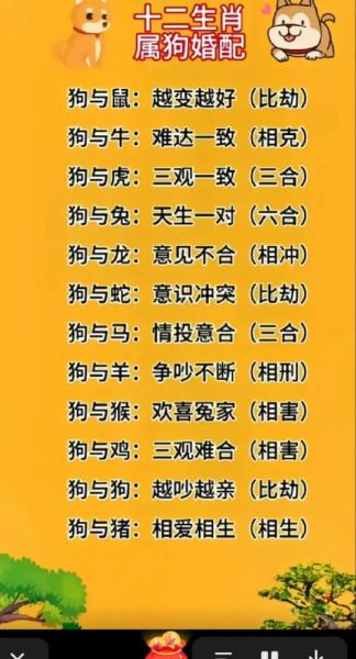 生肖狗和什么属相相刑（属狗相刑生肖有哪些？速查指南📋）