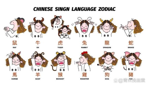 生肖属相手势（十二生肖手势图解一看就会 😎）