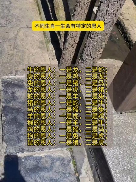 生肖恩人属相（生肖恩人属相是什么意思）