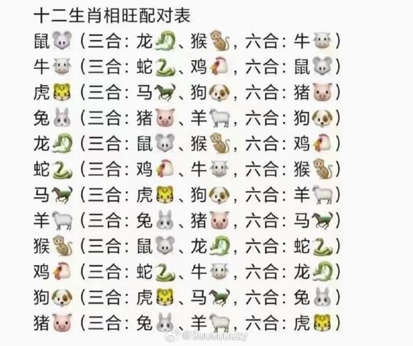 生肖属相解答书（生肖属相解答书怎么买最划算）