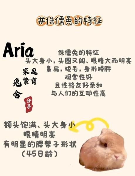 侏儒属相是什么生肖（侏儒属相查询：到底属什么🤔）