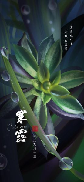 露水的属相生肖(露水到底属什么生肖?初学者也能秒懂!)