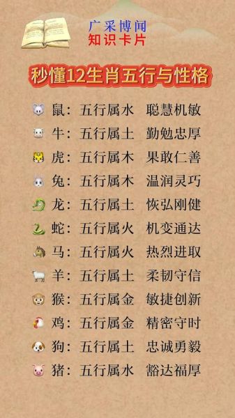 知属相是什么生肖（知属相是什么生肖？一分钟看懂你的生肖）