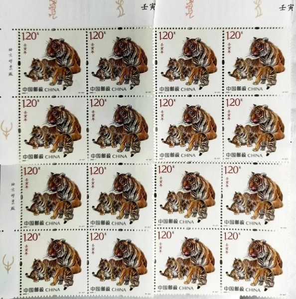 虎年大忌生肖有哪些属相（虎年大忌生肖有哪些）