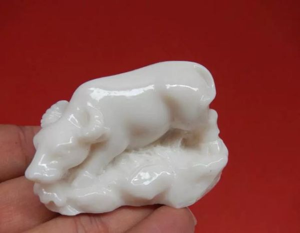 白色的生肖属相(白色生肖有哪些属性与象征)