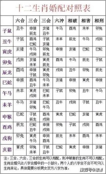 生肖年份属相合不合（生肖年份属相合不合对照表）