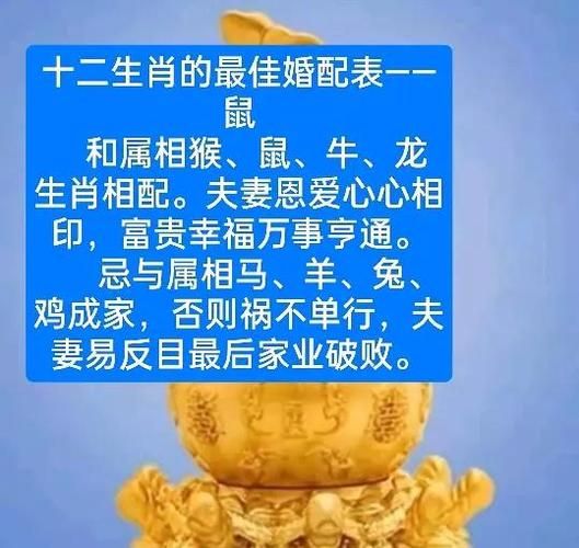 生肖鼠喜欢哪个属相(生肖鼠最佳婚配属相是谁?)