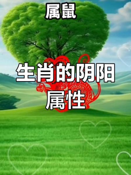 十二生生肖属相 还（十二生肖属相还分阴阳吗）