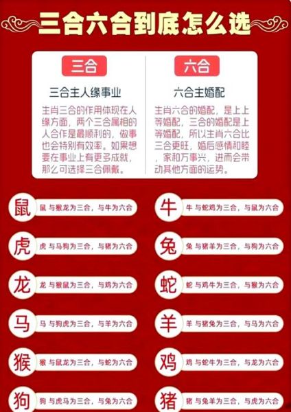 马属相冲三合出什么生肖(马属相和三合生肖对照表)