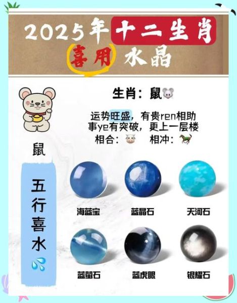 生肖属相君（生肖属相君是什么？小白科普贴🔍）