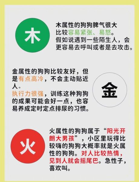 狗属相生肖（狗年出生五行缺什么🐶）