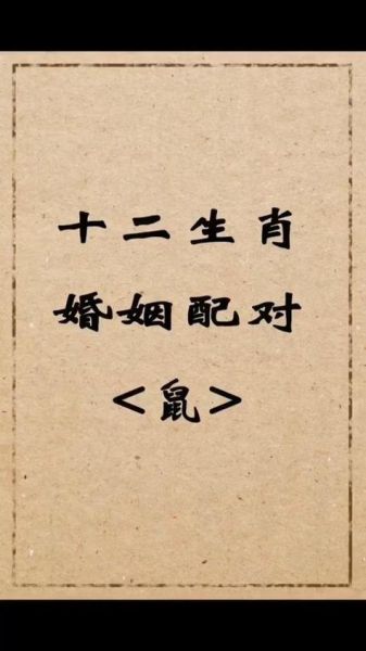 生肖鼠最搭配的属相(生肖鼠和什么属相最配最旺?)