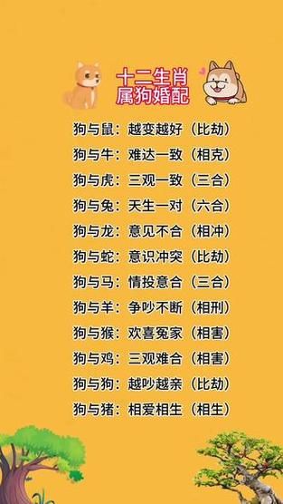 生肖狗的最佳属相是（生肖狗配什么属相最好）