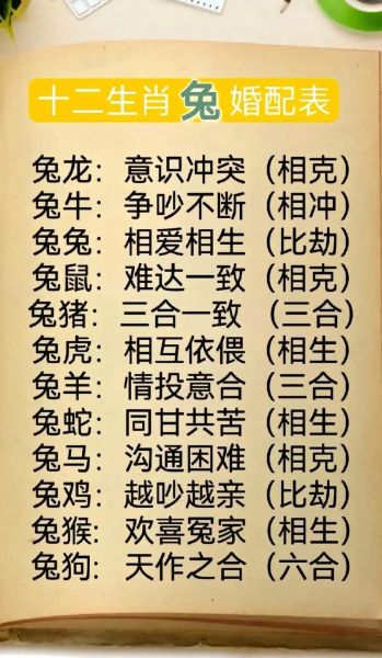 生肖兔财运最佳属相女人（生肖兔女财运最佳配对属相揭秘）